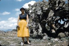 1954 Mexico Mom