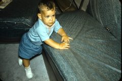 1956 New York Dennis22