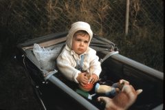 1956 New York Dennis38