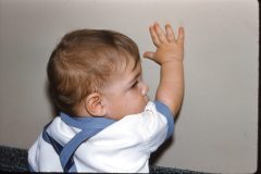 1956 New York Dennis42