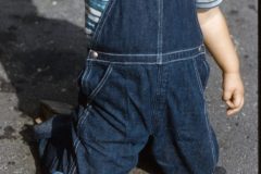 1958 09 New York Dennis1