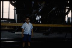 1961 09 New York Museum Natural History Dennis2