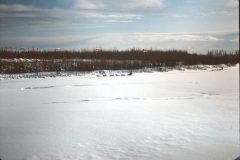 1964 02 Alaska Ft Wainwright Chena River1