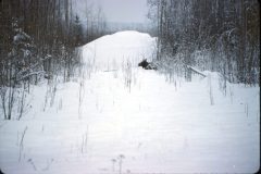 1964 02 Alaska Ft Wainwright Moose1