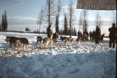 1964 02 Alaska Ft Wainwright Sled Dog Race