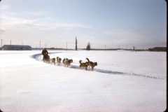 1964 02 Alaska Ft Wainwright Sled Dog Race1