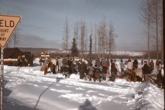 1964 02 Alaska Ft Wainwright Sled Dog Race13