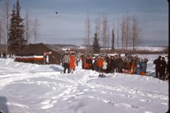 1964 02 Alaska Ft Wainwright Sled Dog Race3