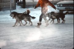 1964 02 Alaska Ft Wainwright Sled Dog Race6