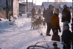 1964 02 Alaska Ft Wainwright Sled Dog Race9