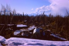 1964 04 Alaska Anchorage Earthquake19