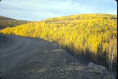 1964 09 Alaska Chatanika Road