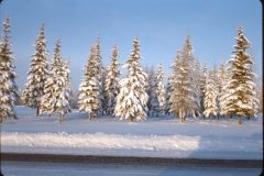 1964 11 Alaska Ft Wainwright1