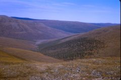 1964 11 Alaska Hills