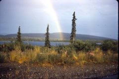 1964 Alaska Valdez Dad Irving12