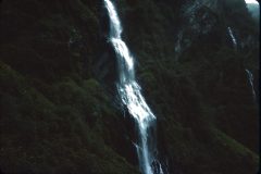 1964 Alaska Valdez Dad Irving16