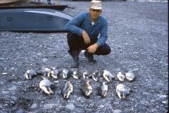 1964 Alaska Valdez Dad Irving3