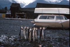 1964 Alaska Valdez Dad Irving8