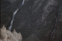 1964 Alaska Valdez Dad Irving9