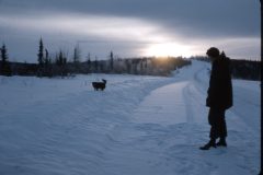 1965 02 Alaska Ft Wainwright Dad Dog