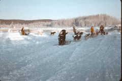 1965 02 Alaska Ft Wainwright Sled Dog Race