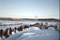 1965 02 Alaska Ft Wainwright Sled Dog Race1