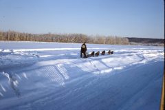 1965 02 Alaska Ft Wainwright Sled Dog Race2
