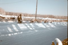 1965 02 Alaska Ft Wainwright Sled Dog Race3
