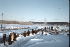 1965 02 Alaska Ft Wainwright Sled Dog Race5