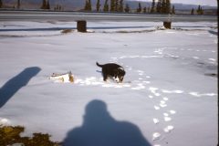 1966 01 Alaska Ft Wainwright Unknown