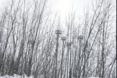 1966 05 Alaska Ft Wainwright