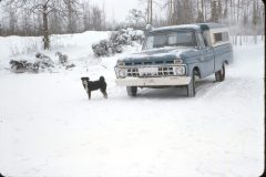 1966 05 Alaska Ft Wainwright Dog1