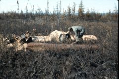 1966 08 Alaska Ft Wainwright Dad