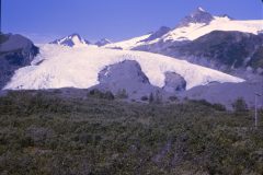 1966 08 Alaska Mountain Glacier2