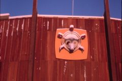 1968 03 Alaska AlaskaLand