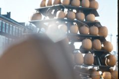 1969 04 Ohio Columbus Festival1