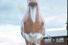 1969 04 Ohio Dennis Sam