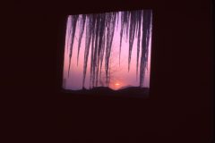 1965 01 Alaska Window Icicles