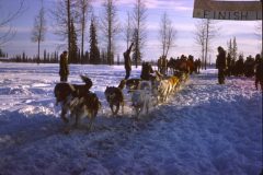 1965 02 Alaska Ft. Wainwright Sled Dogs1