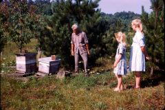 1965 08 Ohio GrandPa Hartley Unknown Bee Hives