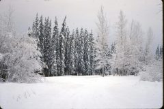 1966 12 Alaska1