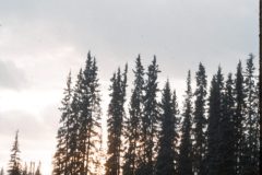 1967 05 Alaska4