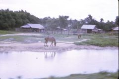 1970 09 VietNam Dad83