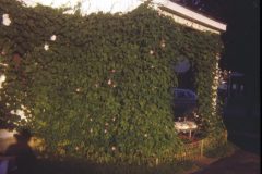 1970 Ohio House3