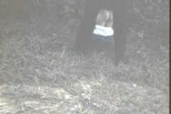 1970 Ohio NotSureWhatTheHell