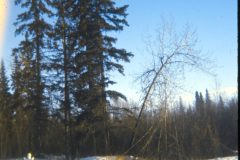 1971 02 Alaska Ft Wainwright Snowman