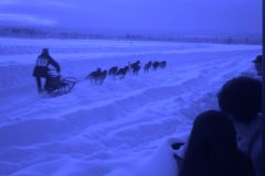 1971 04 Alaska Ft Wainwright Sled Dogs1