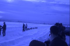 1971 04 Alaska Ft Wainwright Sled Dogs5