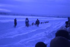 1971 04 Alaska Ft Wainwright Sled Dogs7