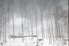 1971 05 Alaska Property